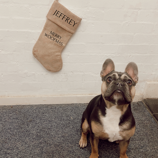 Dog/ cat/ animal Christmas stockings